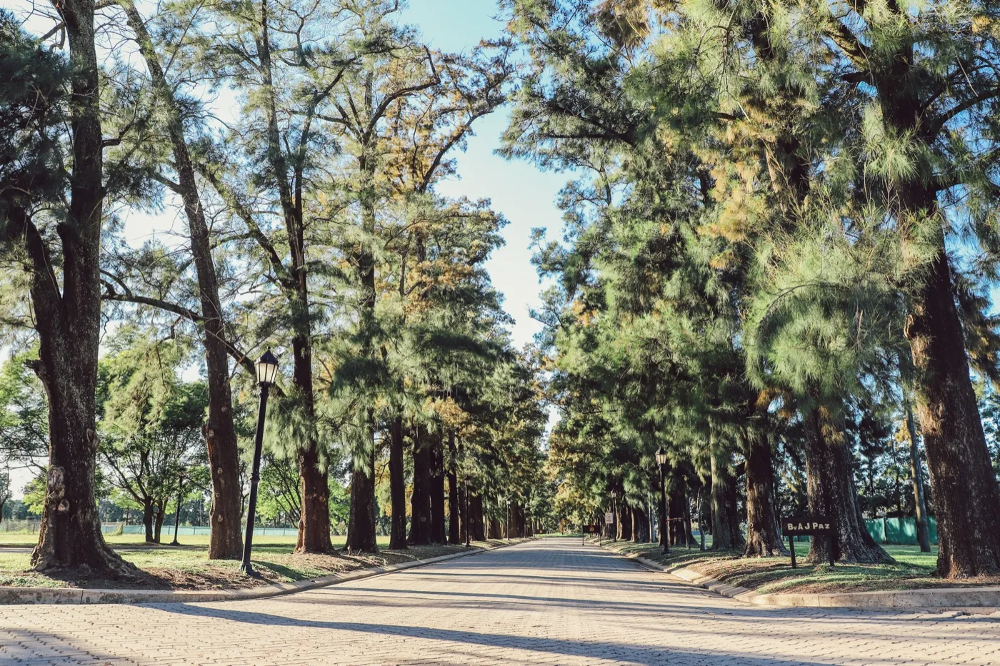 Avenida interna forestada de Azahares del Paraná con arboleda adulta