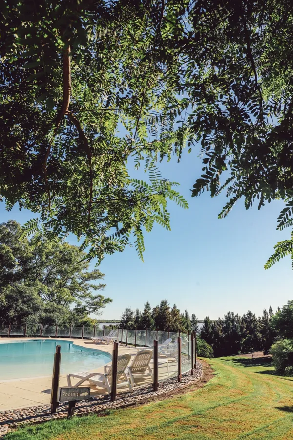 Piscina rodeada de césped y arboleda