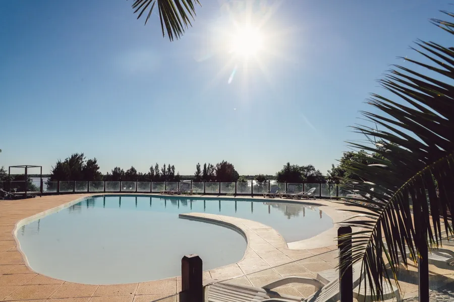 Piscina con palmeras a contraluz