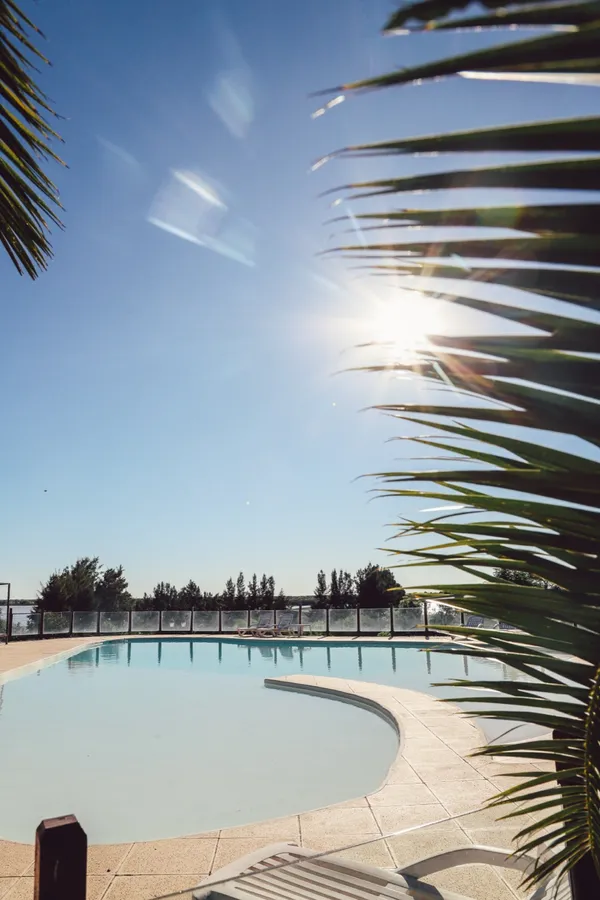 Piscina y palmeras a contraluz